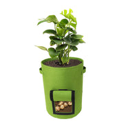 Multifunctional Vegetable Seedling Barrel