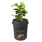 Multifunctional Vegetable Seedling Barrel