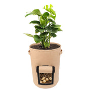 Multifunctional Vegetable Seedling Barrel